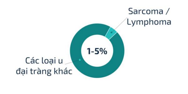 cac loai ung thu.jpg